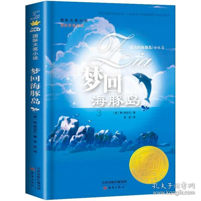 疯狂的小偷